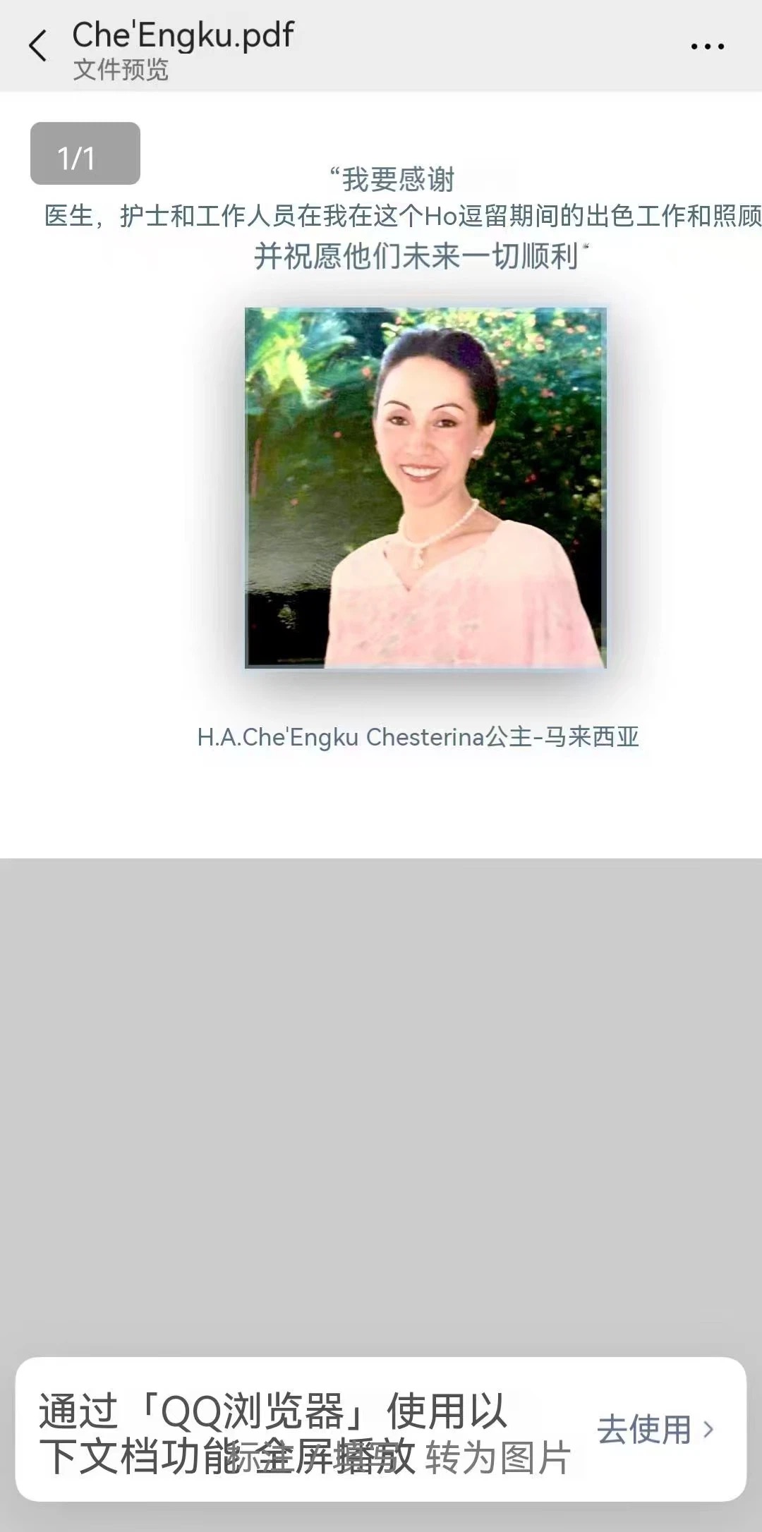 马来西亚公主中文感谢信